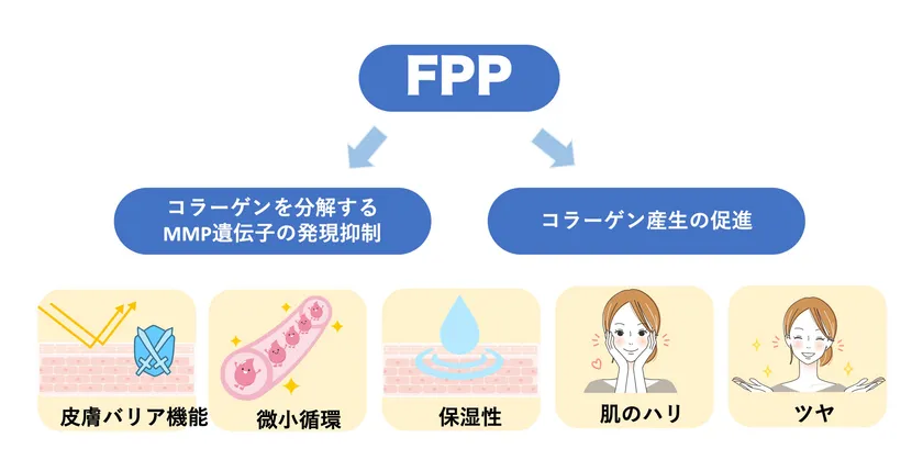 図1　FPPによる皮膚機能改善効果