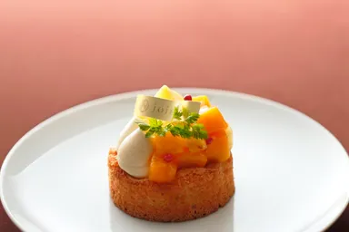 ココトロピック