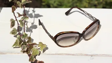 アイブレラ プライム　ブラウン