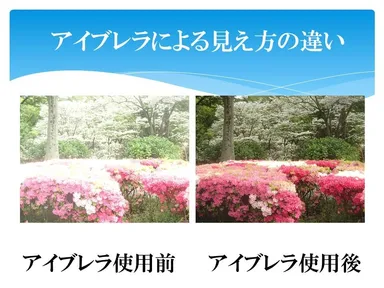 着用時視界イメージ(昼)