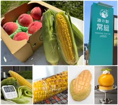 道の駅常総「初夏のあまぁ～い収穫祭」
