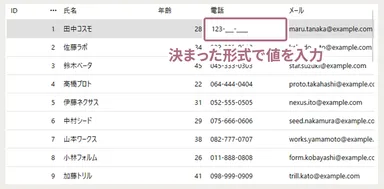 マスク入力が可能に