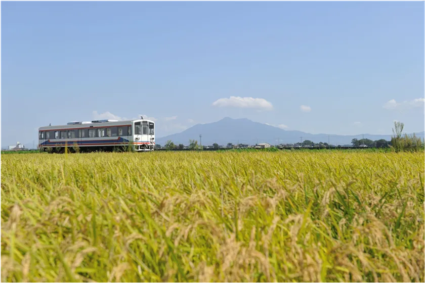 下妻市の田園を走る関東鉄道常総線