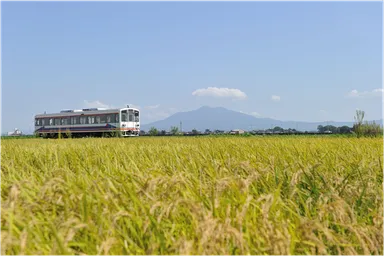 下妻市の田園を走る関東鉄道常総線