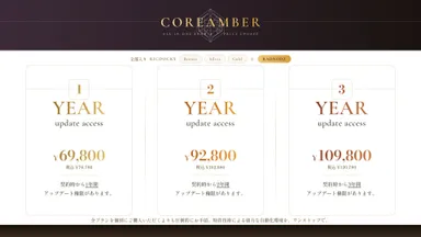 COREAMBER バンドル価格表