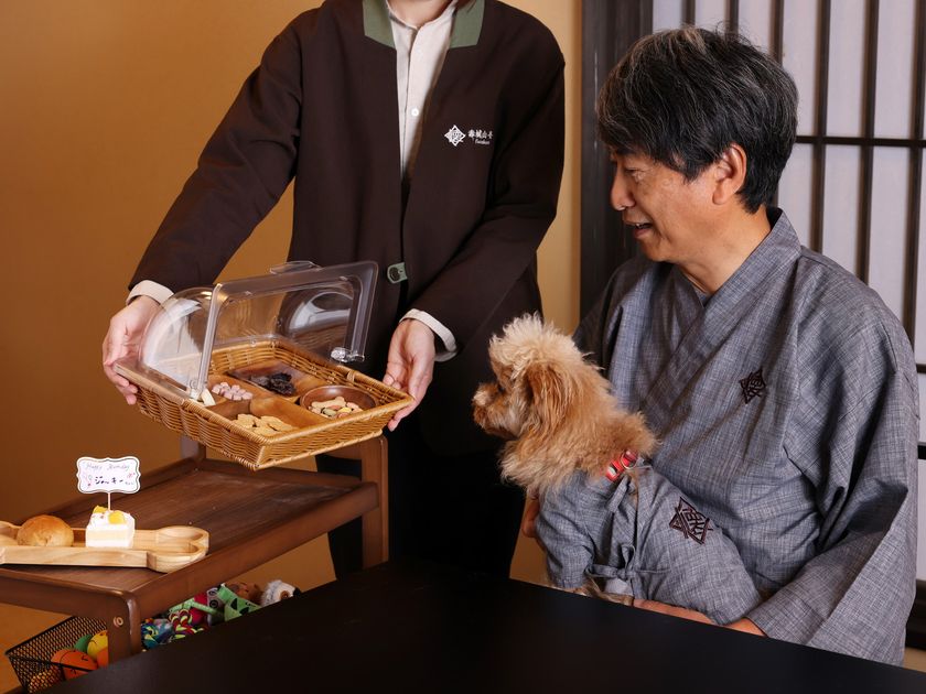 画像8
