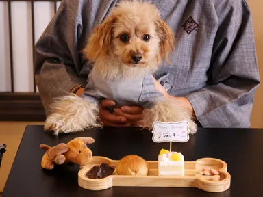 愛犬が主役の記念日プラン2
