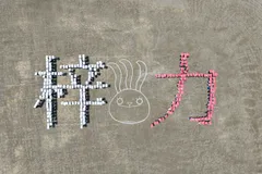 梓川高校の「人文字」空撮
