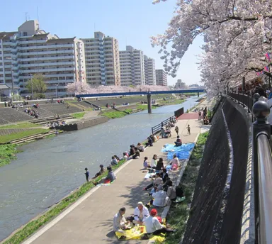 用途例「河川歩道」