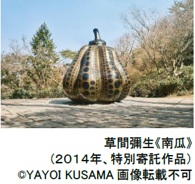 画像11