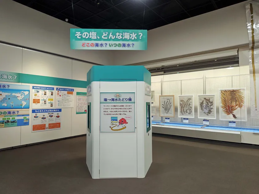 Photo_03 「さぐってみよう!海のめぐみ2026」会場のようす