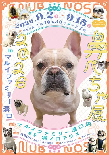 キービジュアル(縦)