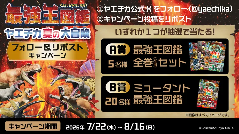 5_XCP画像