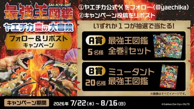 5_XCP画像