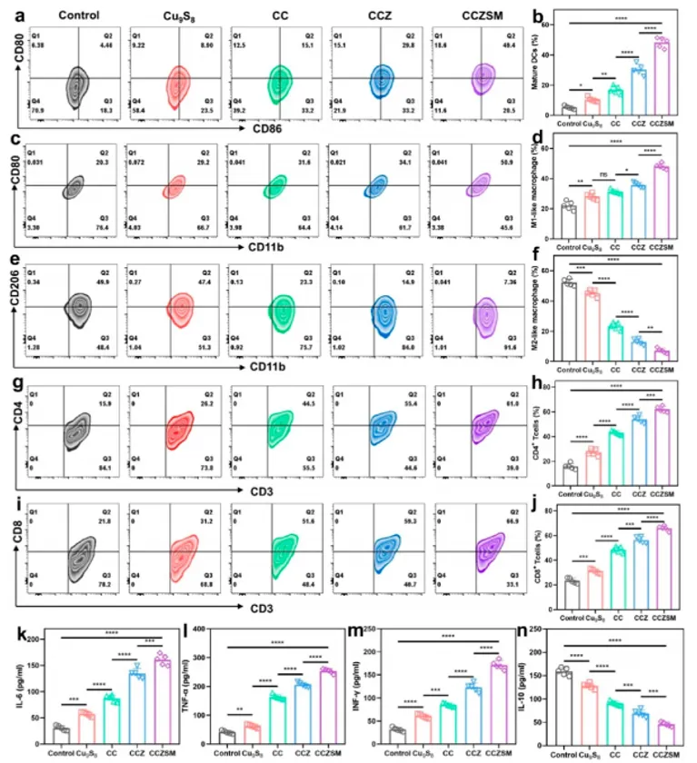 図 2 CCZSM による免疫抑制性腫瘍微小環境の改善評価(ACS Nano 掲載図)