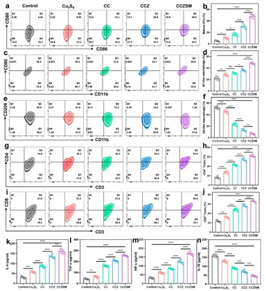 図 2 CCZSM による免疫抑制性腫瘍微小環境の改善評価(ACS Nano 掲載図)