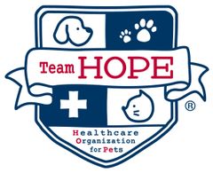 一般社団法人Team HOPE広報事務局