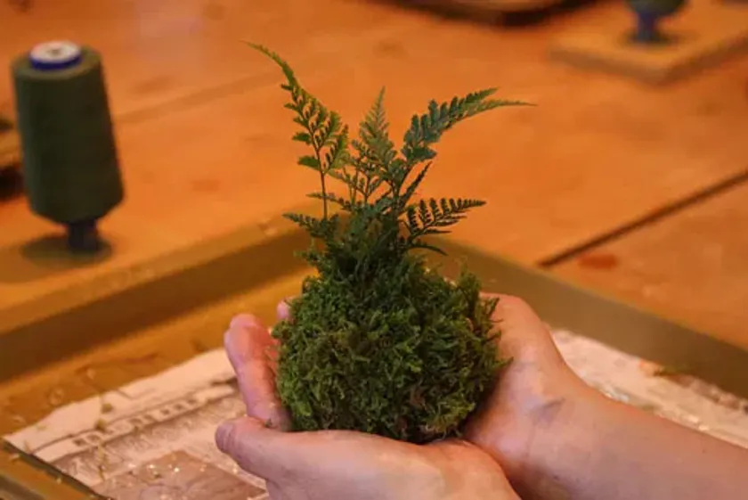 こけ玉作り体験