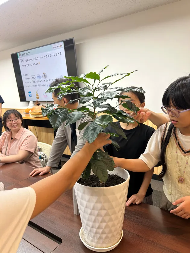 2025年に実施したイベントの様子(コーヒーの木に触れる)