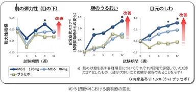 MC-5摂取中における肌状態の変化