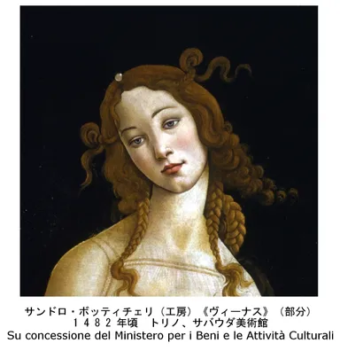 《ヴィーナス》(部分)