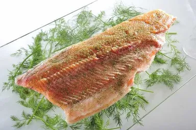 富士山サーモンのディル風味