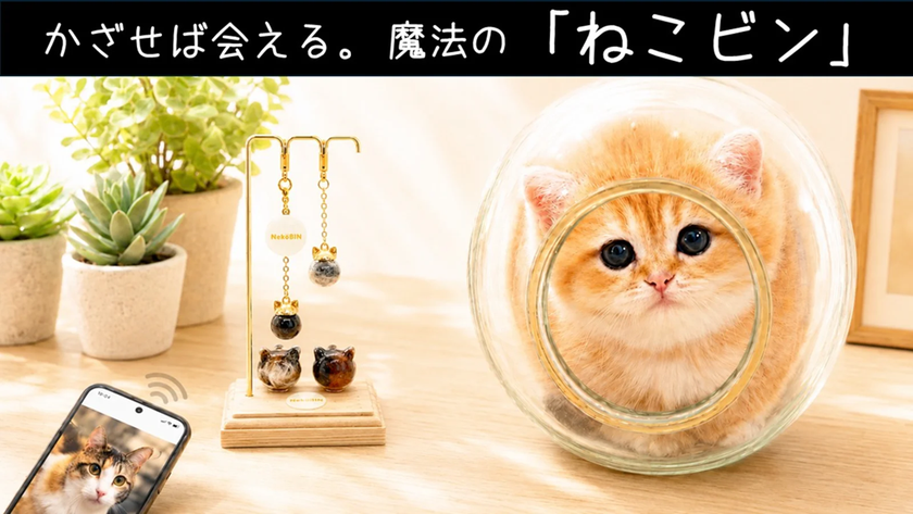 触れる温もり、かざせばあの姿。
世界に一つ『ペット愛毛ケース』ねこビン発売！