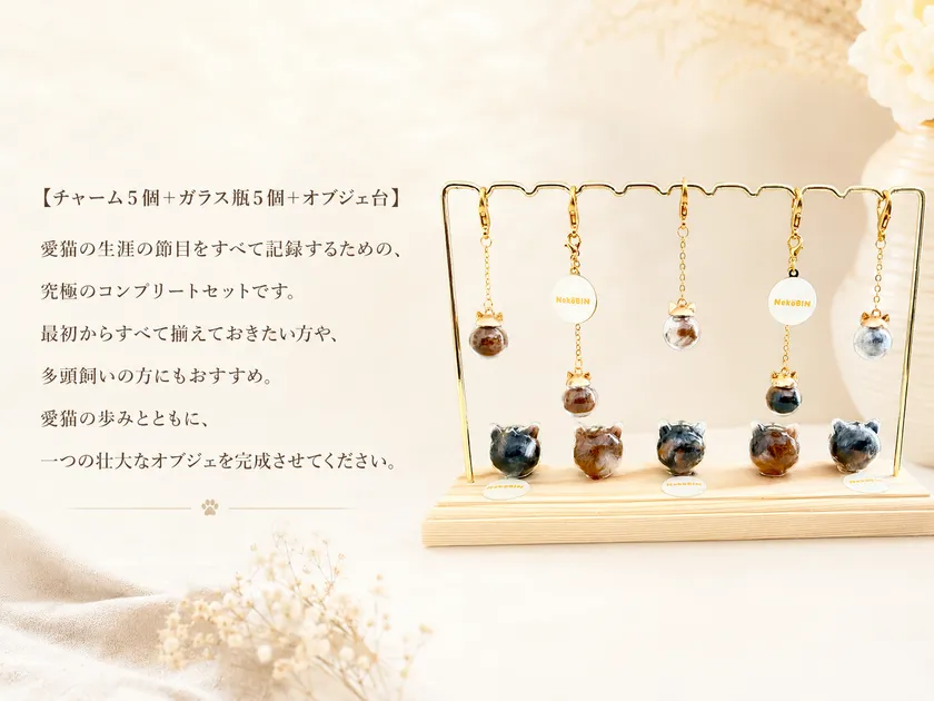 生涯寄り添いセット