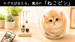 ペットの毛を詰められる「愛毛ケース」ねこビン