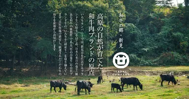 いろりカンパニー牧場の風景