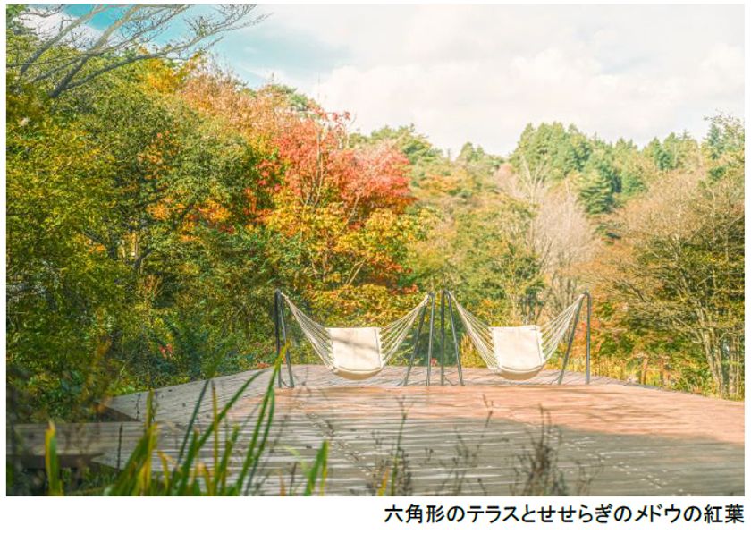 ROKKO森の音ミュージアム
SIKIガーデンAutumn Season
紅葉の見頃は10月下旬～11月下旬
2026年8月29日（土）～11月30日（月）