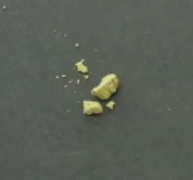 ダニのチェック方法1