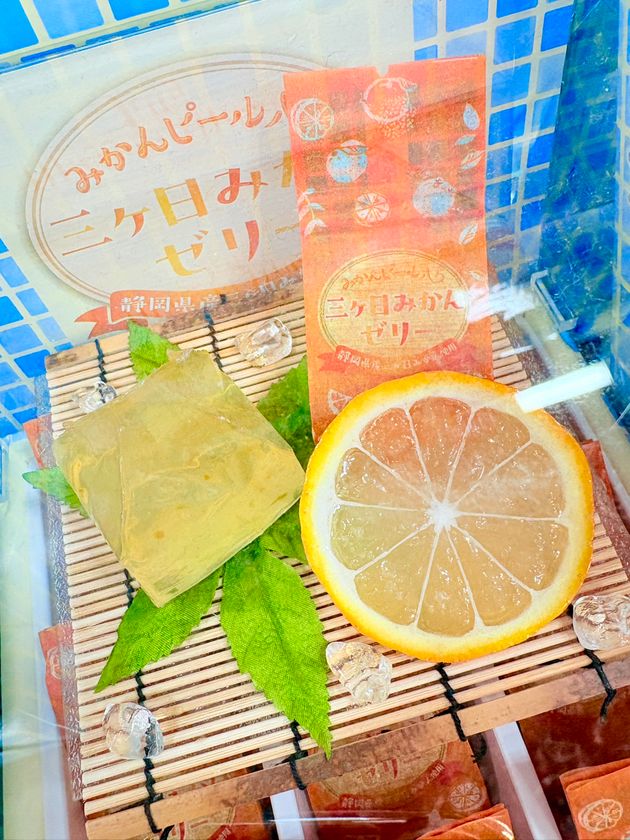 この夏、わくわくは新東名高速道路NEOPASA駿河湾沼津 下り線から
暑い季節にぴったりの商品を幅広いラインナップでご用意
~「伊豆・村の駅」で出会う、夏だけのおいしさ~