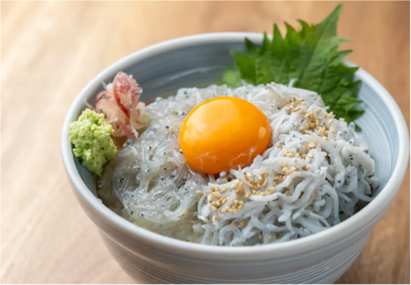しらす2色丼