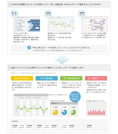 解析・レポート内容