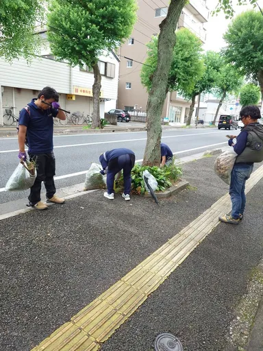 屋根の日活動写真2