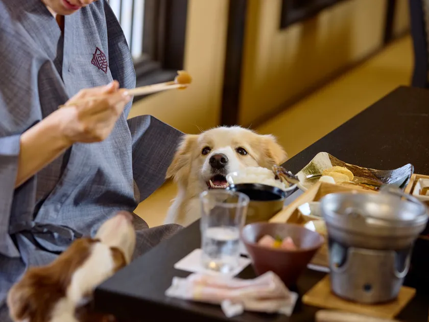 愛犬と一緒に過ごせるお食事処