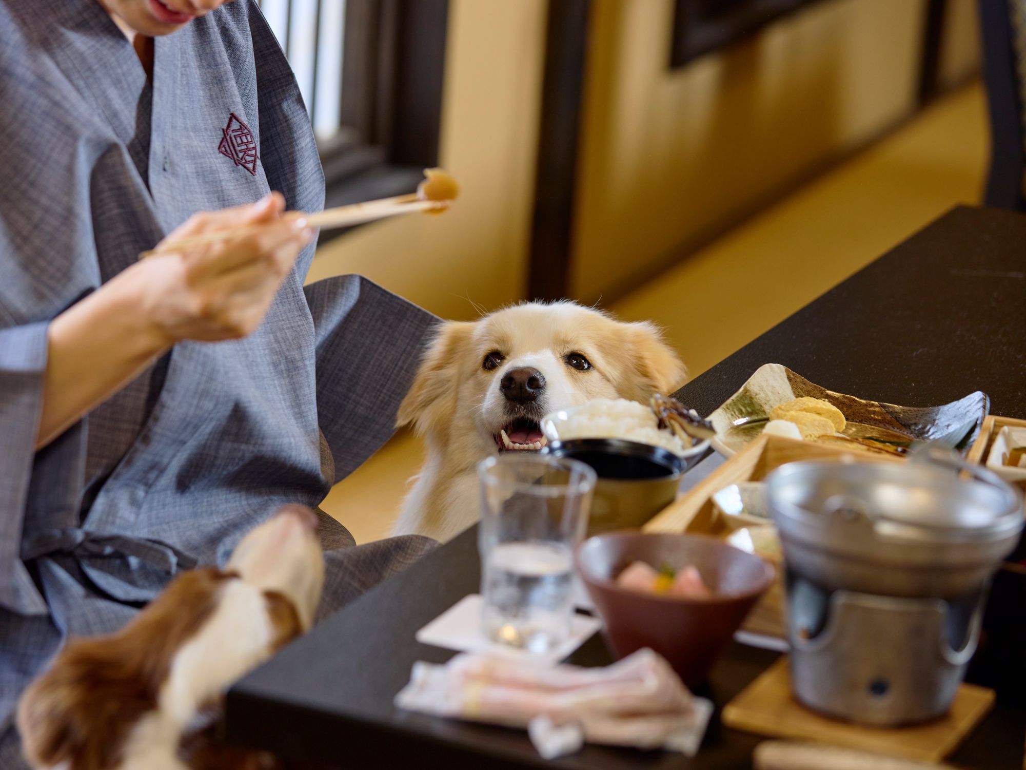 愛犬と泊まれる古民家リトリート 赤城山 - 懐 - 】 愛犬ファミリーの