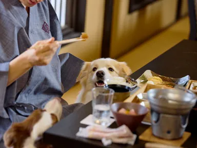 愛犬と一緒に過ごせるお食事処