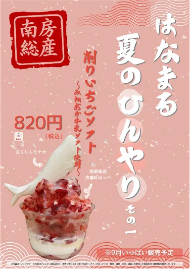 夏のひんやり