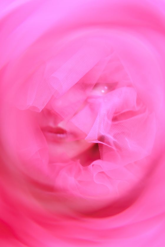 写真家<清田大介> × 女優<彩月貴央>による写真展
『LUMINA(ルミナ)』恵比寿アメリカ橋ギャラリーにて
2026年08月19日~2026年08月24日開催