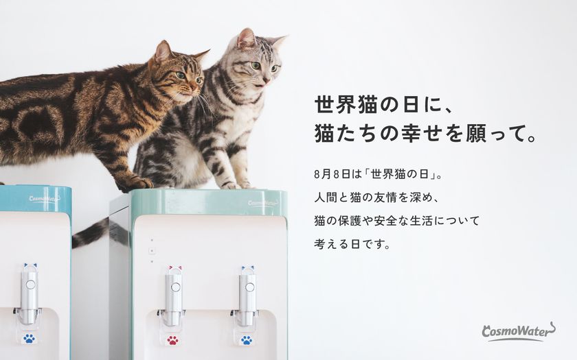 【世界猫の日に、猫たちの幸せを願って。】
コスモウォーター「にゃんモデル」×フェリシモ「猫部」が
コラボキャンペーンを実施