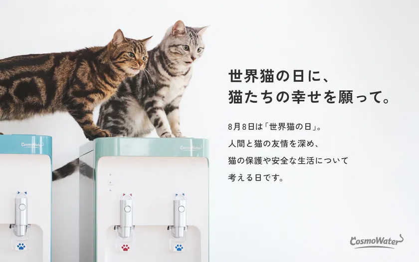【世界猫の日に、猫たちの幸せを願って。】