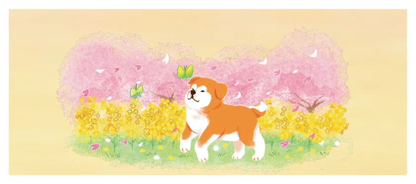 【春】桜と菜の花・雪解けの風景