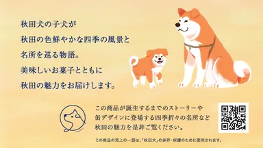 商品封入のリーフレット