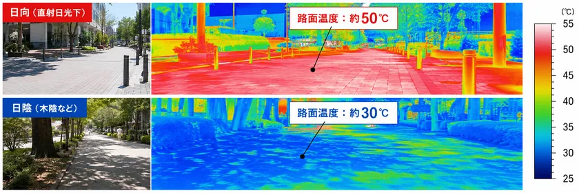 路面温度サーモグラフィ
