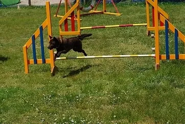 (3)ちょ～初アジ