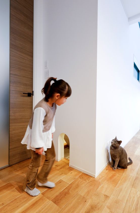 しっくいの壁は、猫にもやさしい。
野村工務店がペットと暮らす住まいの知見を公開
