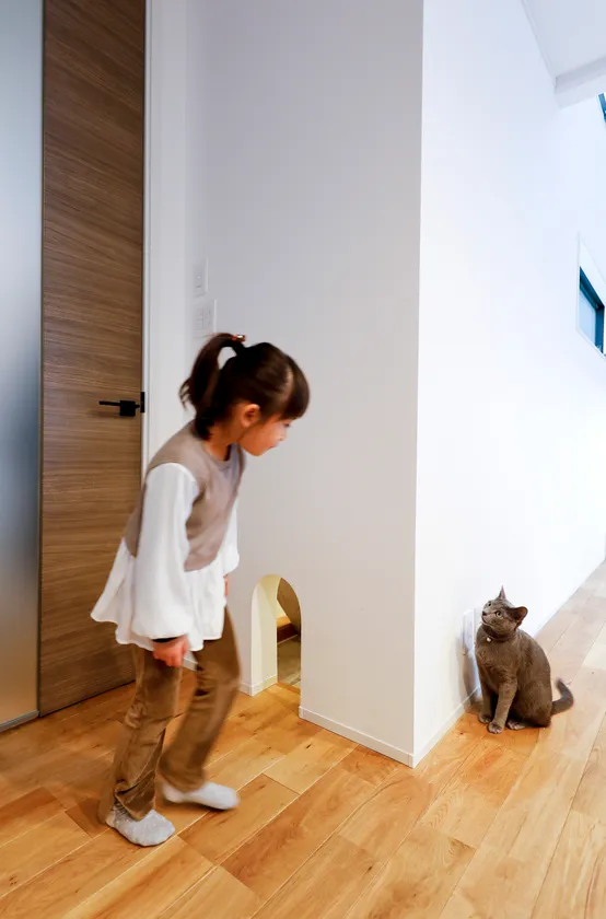 猫と人間が共に健康に暮らせる家を目指しています