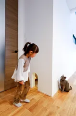 猫と人間が共に健康に暮らせる家を目指しています